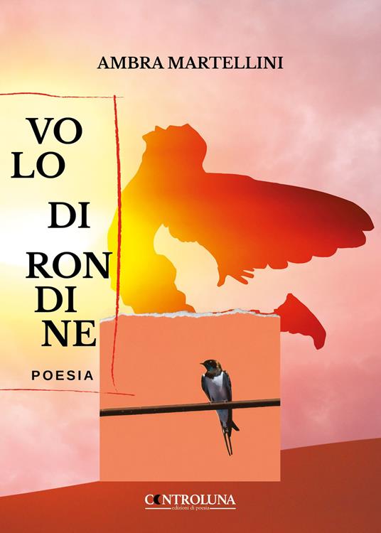 Volo di rondine - Ambra Martellini - copertina
