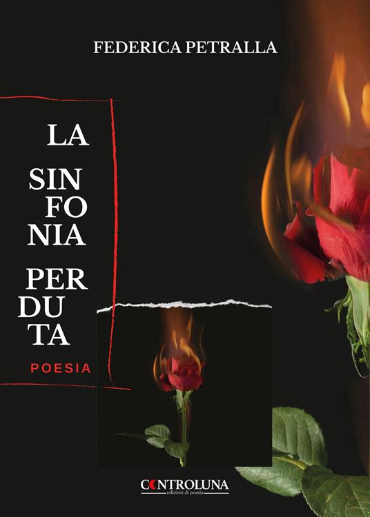 La sinfonia perduta - Federica Petralla - copertina
