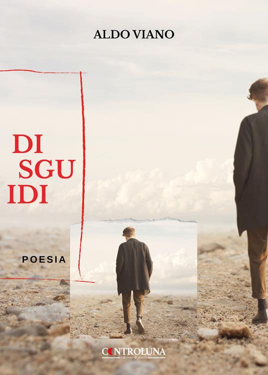 Disguidi - Aldo Viano - copertina