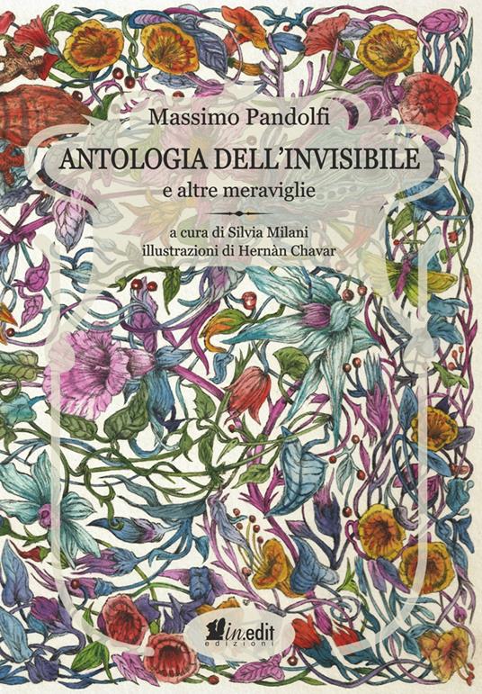 Antologia dell'invisibile e altre meraviglie - Massimo Pandolfi - copertina