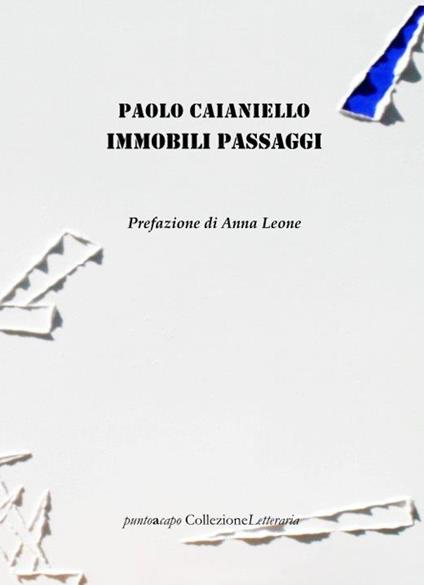 Immobili passaggi - Paolo Caianiello - copertina