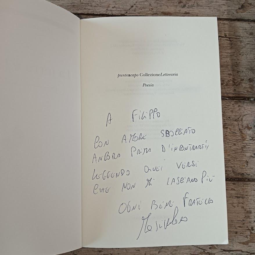 La terra e la radice