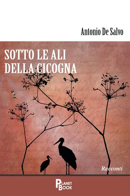 Sotto le ali della cicogna - Antonio De Salvo - copertina