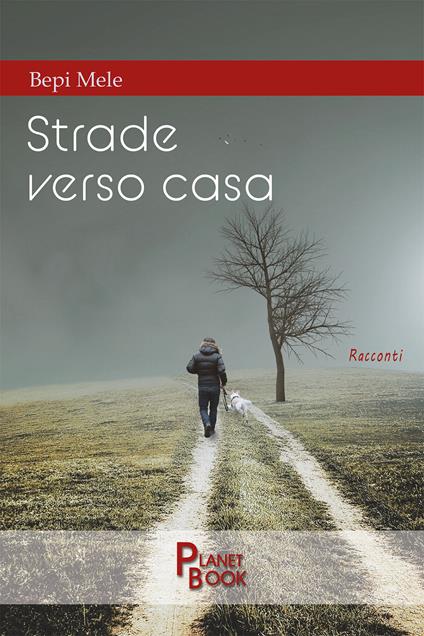 Strade verso casa - Bepi Mele - copertina
