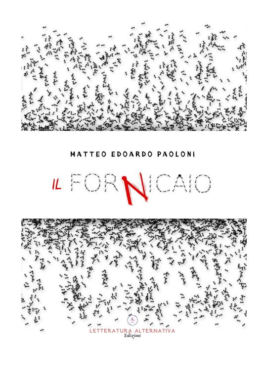 Il Fornicaio - Matteo Edoardo Paoloni - copertina
