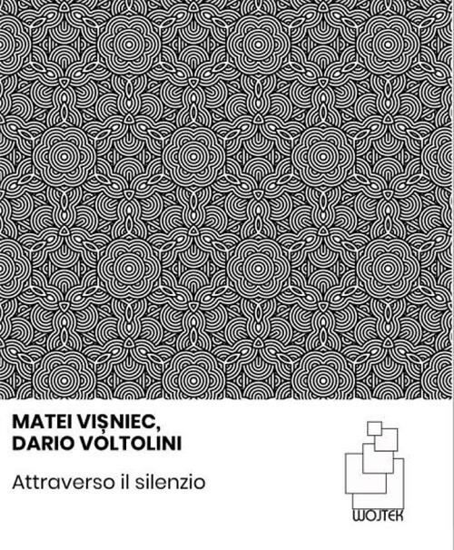 Attraverso il silenzio - Dario Voltolini,Matei Visniec - copertina