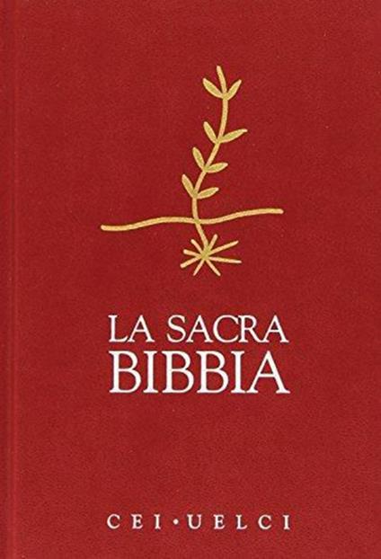 La sacra Bibbia - copertina
