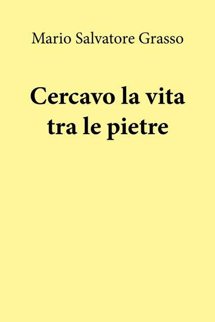 Cercavo la vita tra le pietre - Mario Salvatore Grasso - copertina