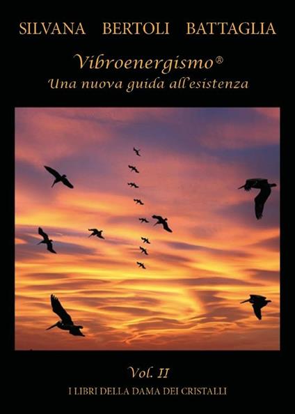 Vibroenergismo. Una nuova guida all'esistenza. Vol. 2 - Silvana Bertoli Battaglia - ebook