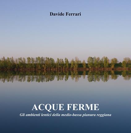 Acque ferme. Ediz. illustrata - Davide Ferrari - copertina