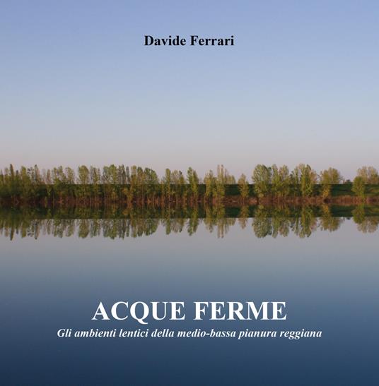 Acque ferme. Ediz. illustrata - Davide Ferrari - copertina