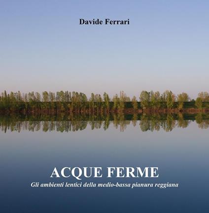 Acque ferme - Davide Ferrari - ebook