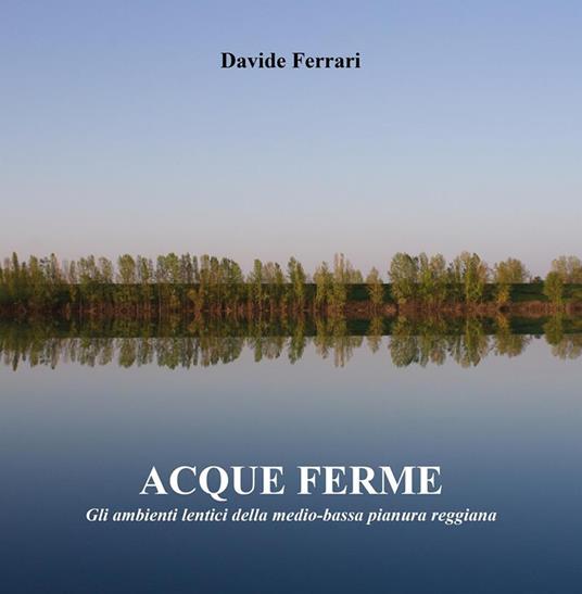Acque ferme - Davide Ferrari - ebook