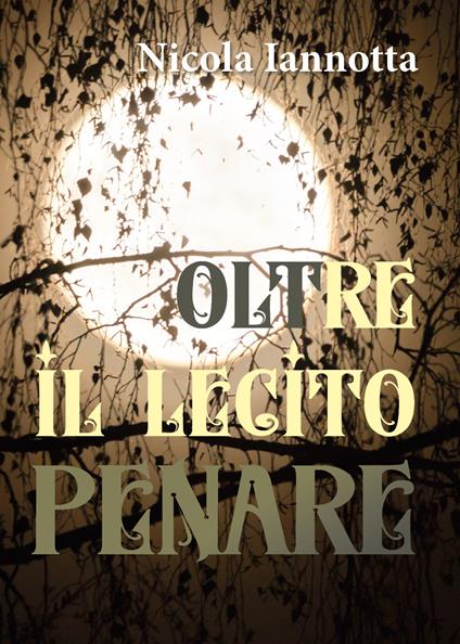 Oltre il lecito penare - Nicola Iannotta - copertina