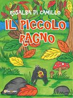 Il piccolo ragno