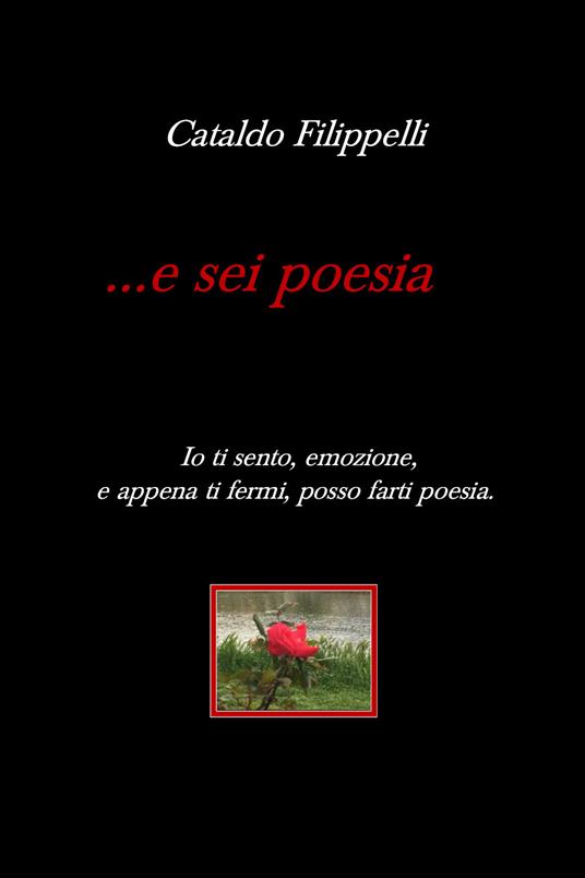 ... e sei poesia - Cataldo Filippelli - copertina