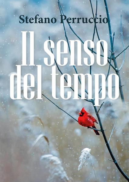 Il senso del tempo - Stefano Perruccio - copertina