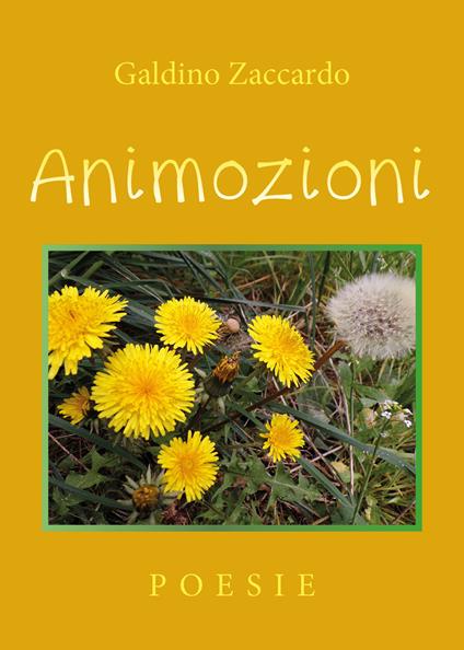 Animozioni - Galdino Zaccardo - copertina