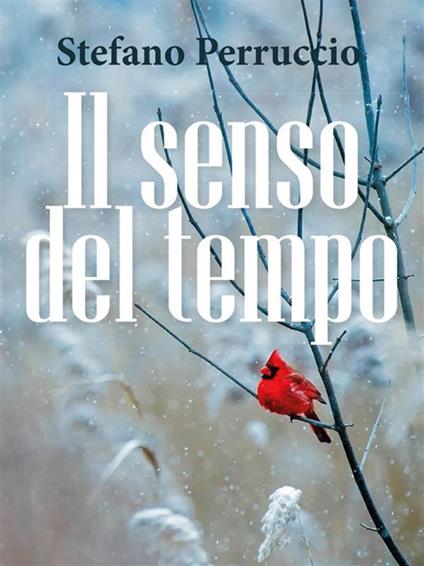 Il senso del tempo - Stefano Perruccio - ebook