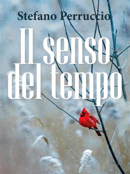 Il senso del tempo - Stefano Perruccio - ebook
