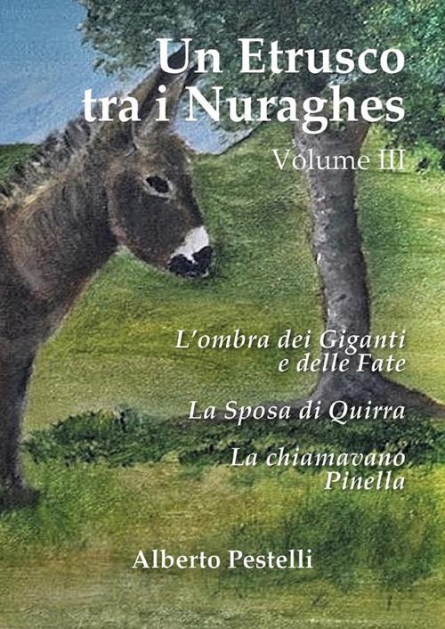 Un etrusco tra i nuraghes. Vol. 3 - Alberto Pestelli - ebook