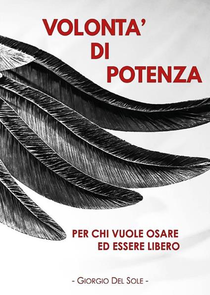 Volontà di potenza - Giorgio Del Sole - ebook
