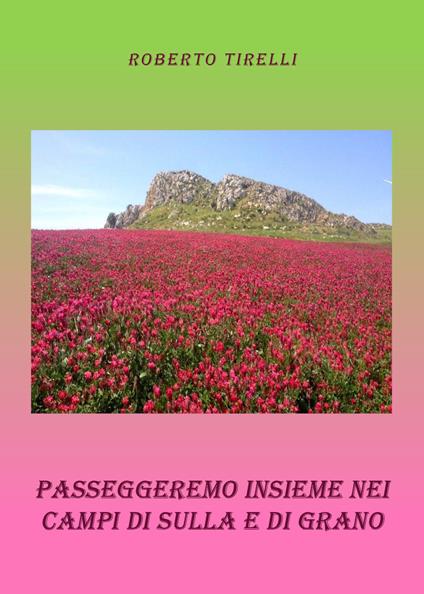 Passeggeremo insieme tra i campi di sulla e di grano - Roberto Tirelli - copertina