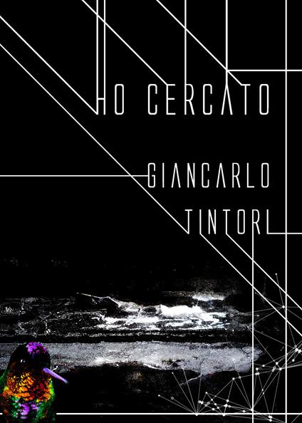 Ho cercato - Giancarlo Tintori - copertina