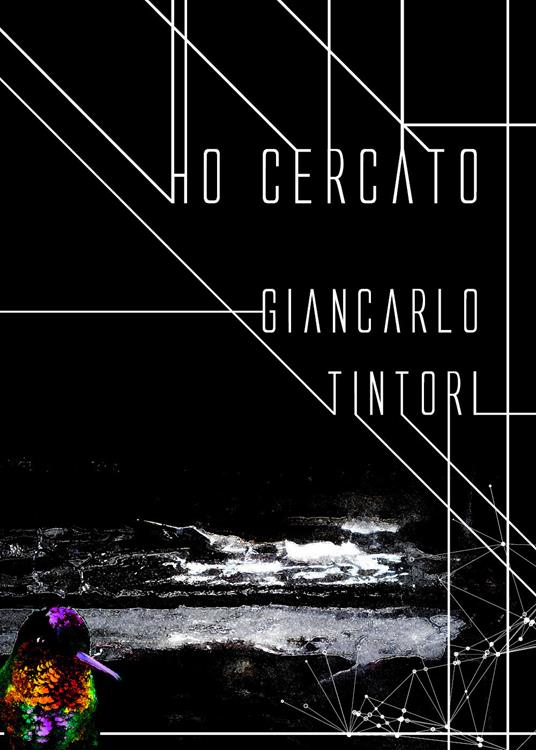 Ho cercato - Giancarlo Tintori - copertina