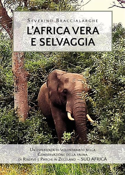 L' Africa vera e selvaggia - Severino Braccialarghe - ebook