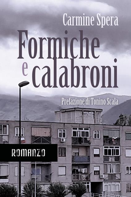 Formiche e calabroni - Carmine Spera - copertina