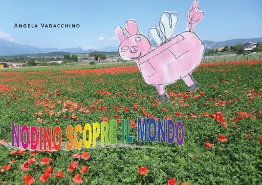 Nodino scopre il mondo. Ediz. illustrata - Angela Vadacchino - copertina