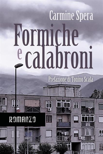 Formiche e calabroni - Carmine Spera - ebook