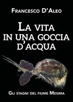 La vita in una goccia d'acqua. Gli stagni del fiume Mesima