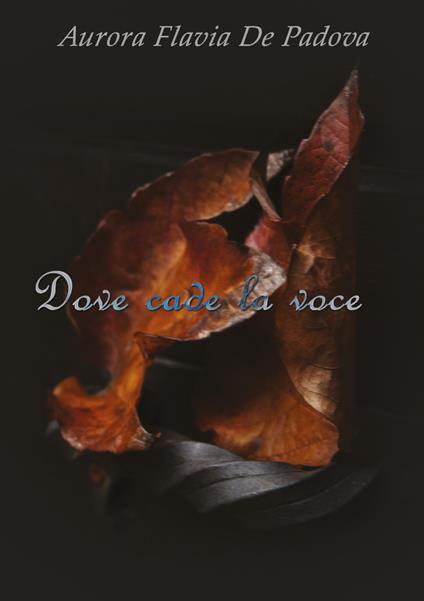 Dove cade la voce - Aurora Flavia De Padova - copertina