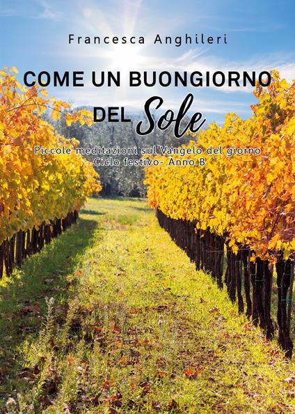 Come un buongiorno del sole. Piccole meditazioni sul Vangelo del giorno. Ciclo festivo anno B - Francesca Anghileri - copertina