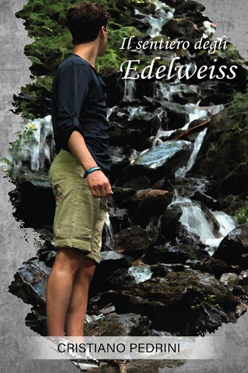 Il sentiero degli edelweiss - Cristiano Pedrini - ebook