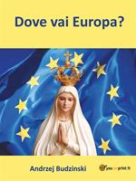 Dove vai Europa?