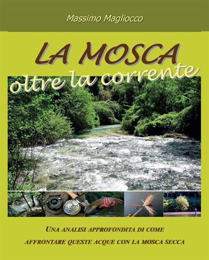 La mosca oltre la corrente - Massimo Magliocco - ebook