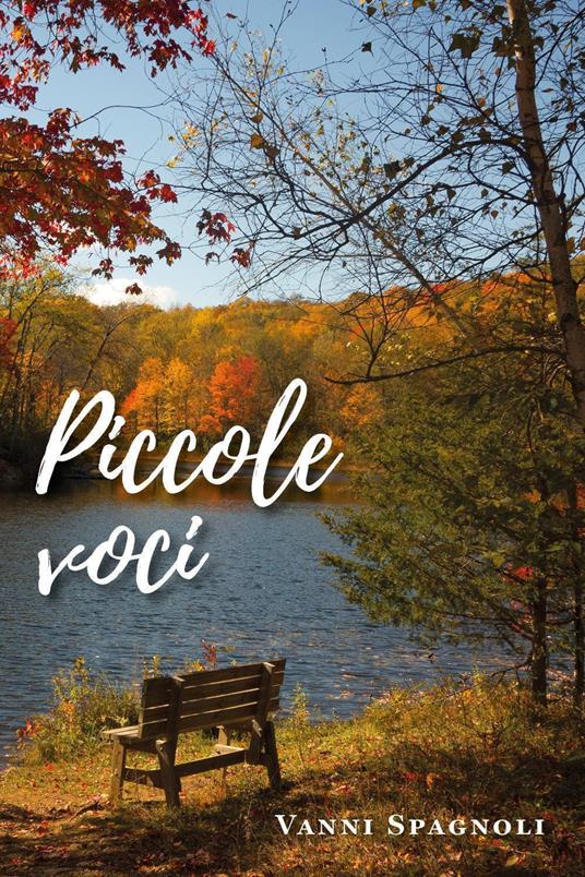 Piccole voci - Vanni Spagnoli - copertina