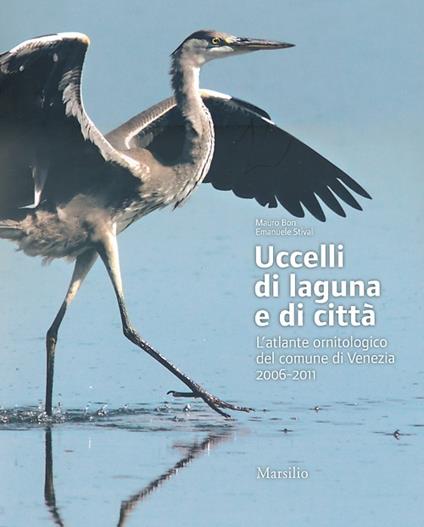Uccelli di laguna e di città. L'atlante ornitologico nel comune di Venezia 2006-2011. Ediz. illustrata - Mauro Bon,Emanuele Stival - copertina