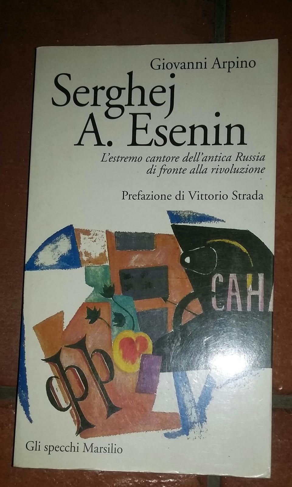 Librisaggi