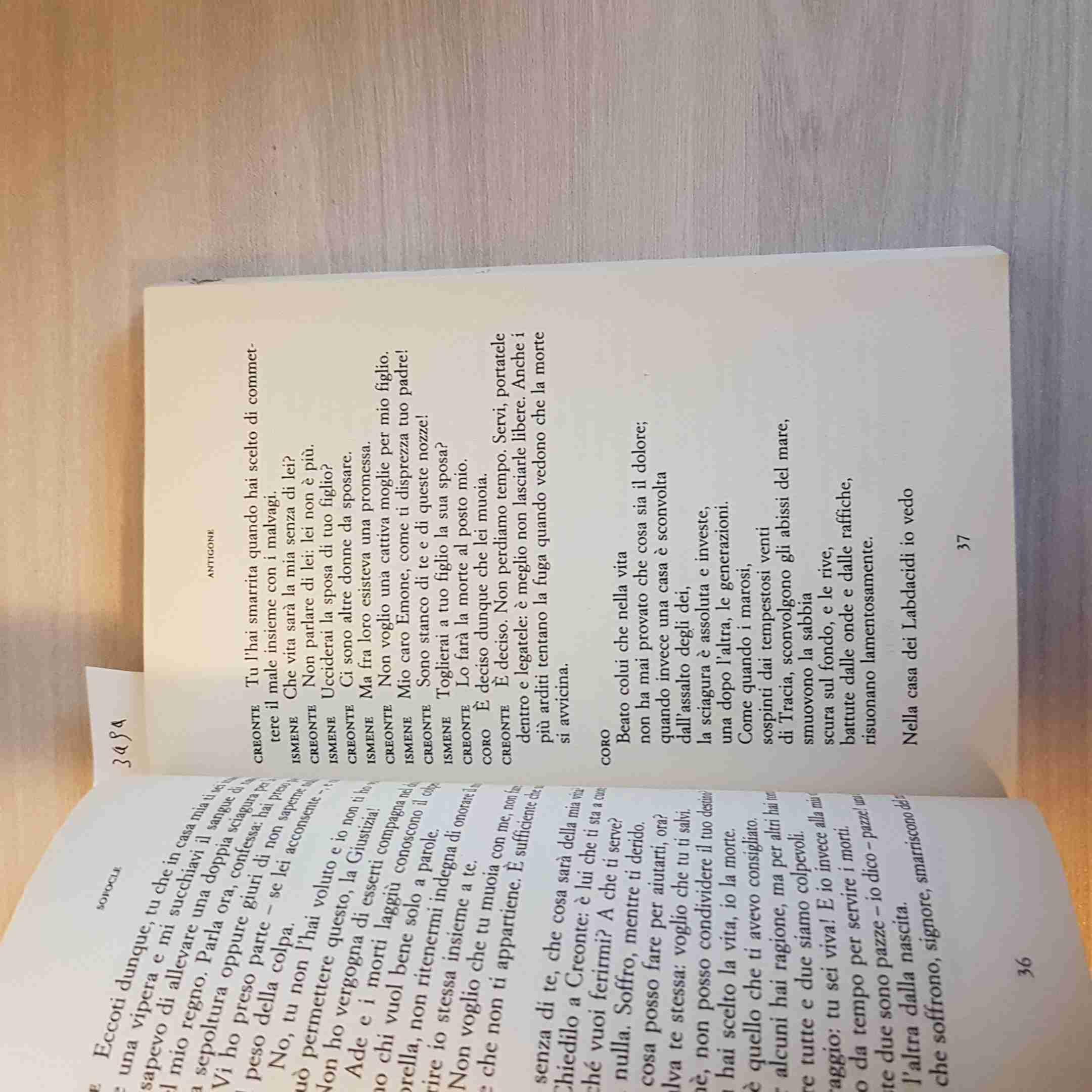 Antigone. Variazioni sul mito