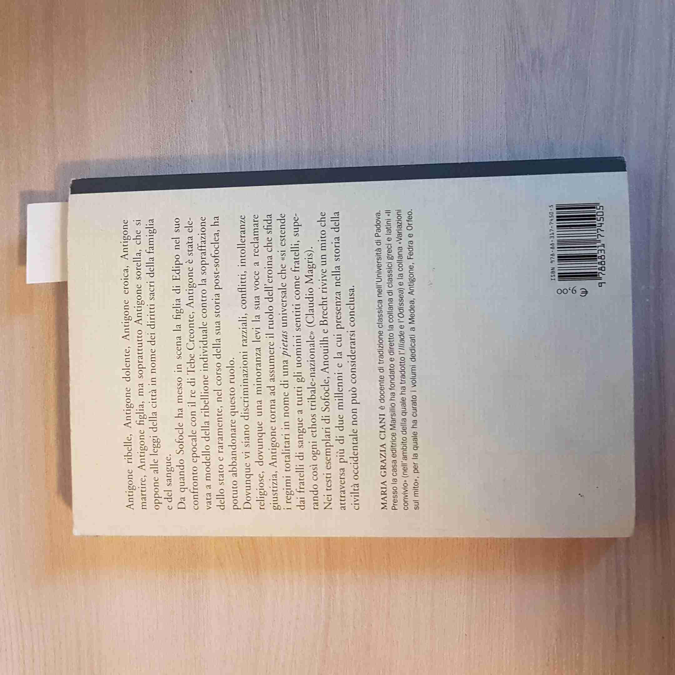 Antigone. Variazioni sul mito