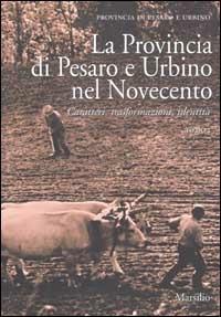 La Provincia di Pesaro e Urbino nel Novecento. Caratteri, trasformazioni, identità - copertina