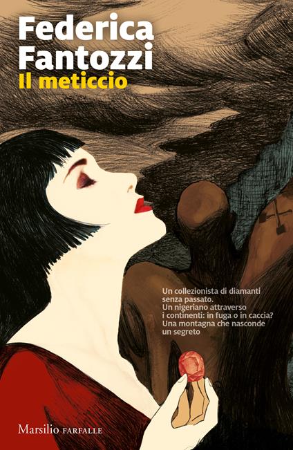 Il meticcio - Federica Fantozzi - copertina