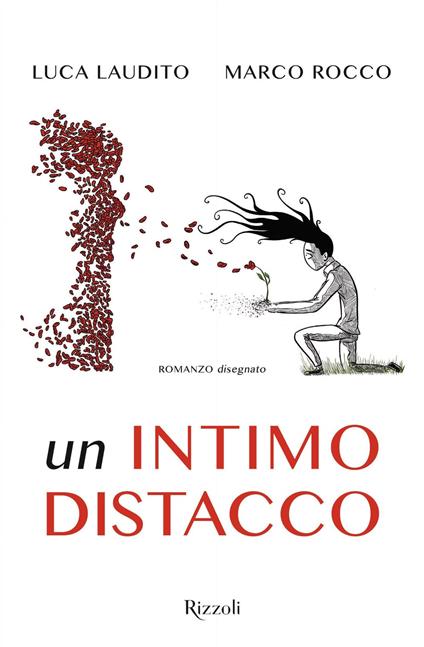 Un intimo distacco - Luca Laudito,Marco Rocco - ebook