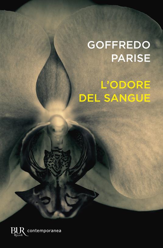 L' odore del sangue - Goffredo Parise,Silvio Perrella - ebook