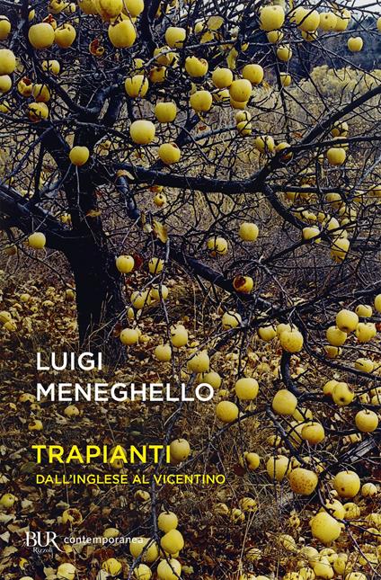 Trapianti. Dall'inglese al vicentino - Luigi Meneghello,Ernestina Pellegrini - ebook