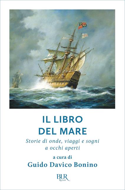 Il libro del mare. Storie di onde, viaggi e sogni a occhi aperti - Guido Davico Bonino - ebook